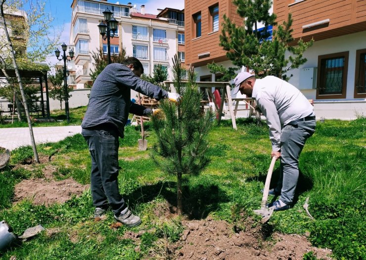 Ağaçlandırma seferberliğinde vatandaş ve belediye işbirliği