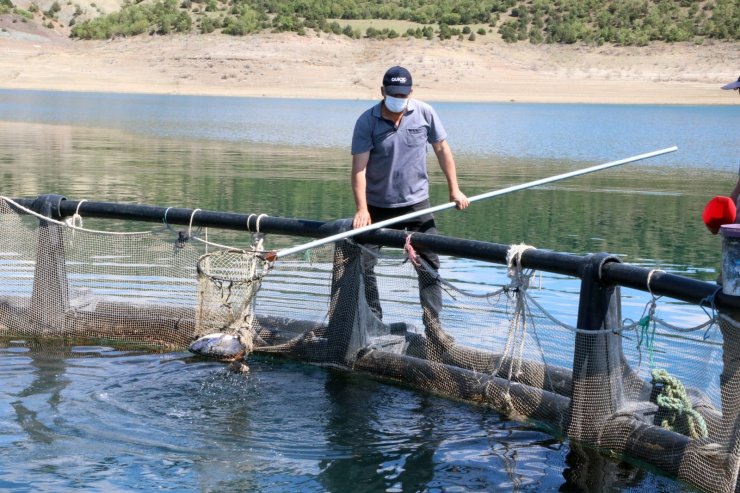 Başaramazsın dediler, o denizi olmayan Bozkırda yılda 60 ton balık üretti