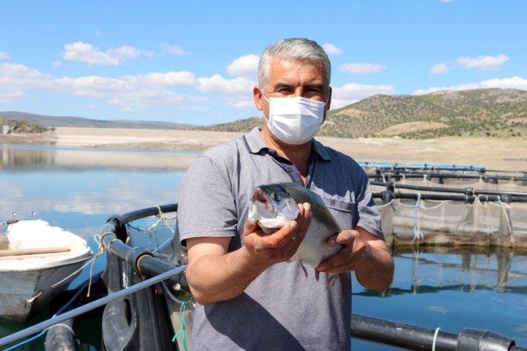 Başaramazsın dediler, o denizi olmayan Bozkırda yılda 60 ton balık üretti