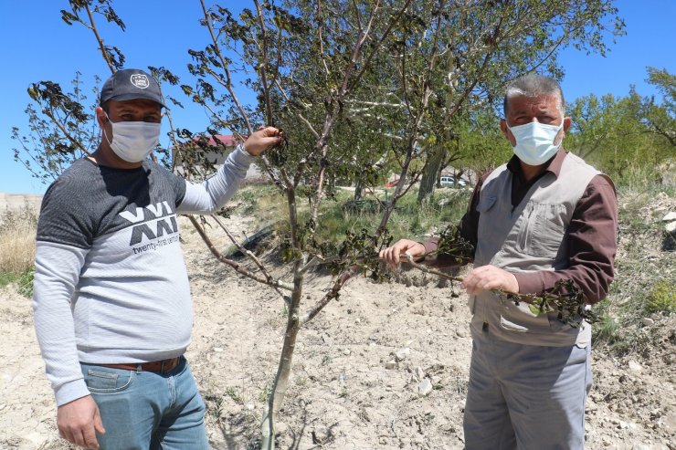 İlk defa böyle bir afetle karşılaştılar, zarar büyük