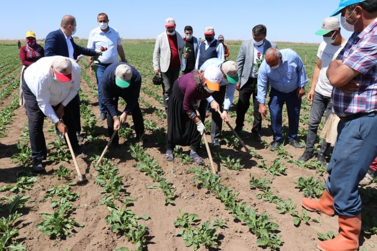 Vali traktörle tarlayı sürüp çapa yaptı, kadın çiftçilere gül verdi