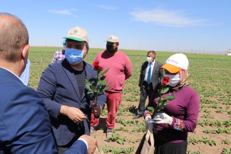 Vali traktörle tarlayı sürüp çapa yaptı, kadın çiftçilere gül verdi