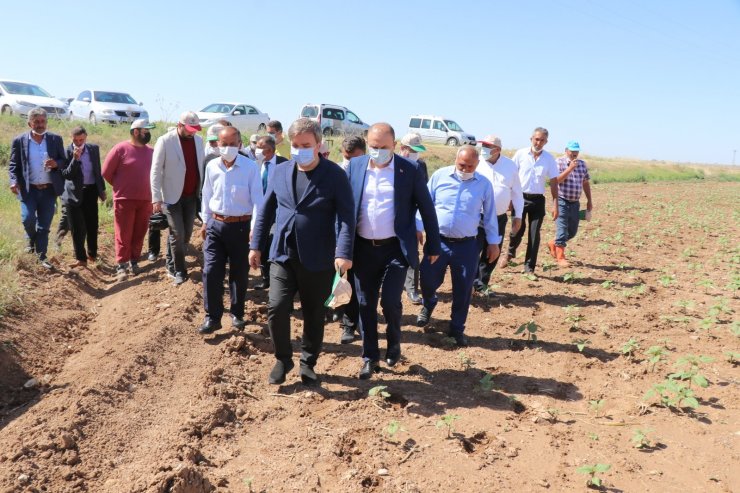 Vali traktörle tarlayı sürüp çapa yaptı, kadın çiftçilere gül verdi