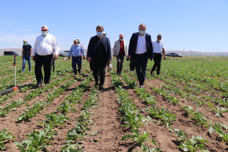 Vali traktörle tarlayı sürüp çapa yaptı, kadın çiftçilere gül verdi