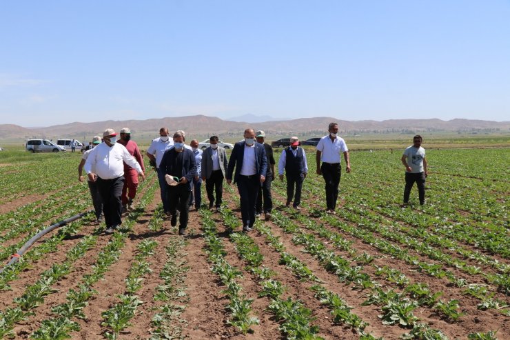 Vali traktörle tarlayı sürüp çapa yaptı, kadın çiftçilere gül verdi