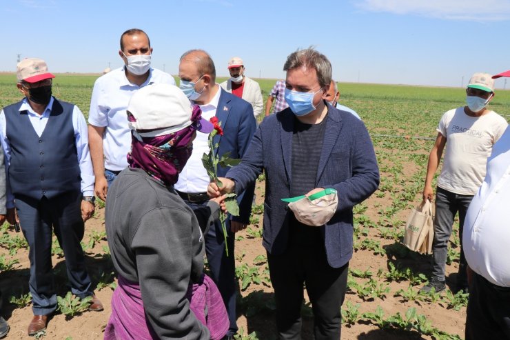 Vali traktörle tarlayı sürüp çapa yaptı, kadın çiftçilere gül verdi