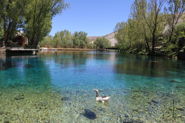 Bozkırın nazar boncuğu korunacak