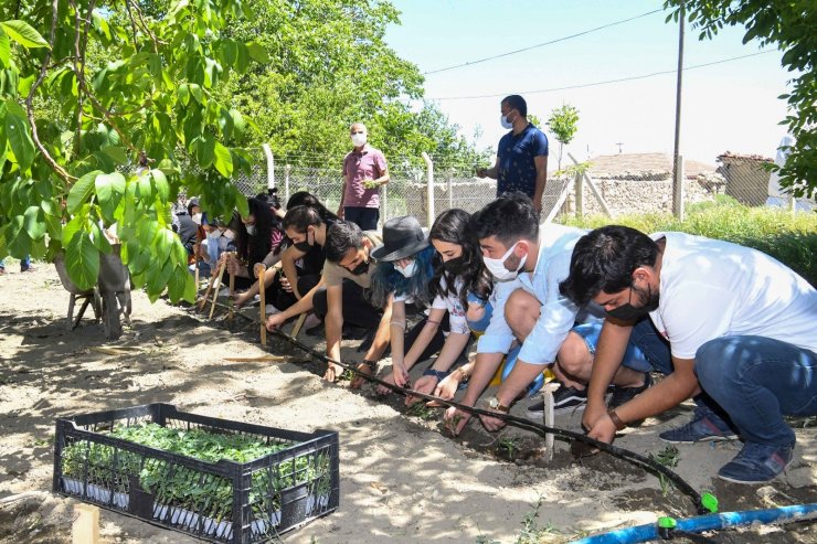 Başkent’te genç çiftçi sayısı her geçen gün artıyor