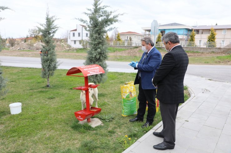 Tam kapanmada Melikgazi’de sokak hayvanları unutulmadı