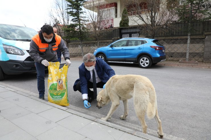 Tam kapanmada Melikgazi’de sokak hayvanları unutulmadı