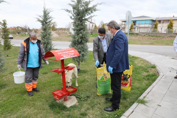 Tam kapanmada Melikgazi’de sokak hayvanları unutulmadı