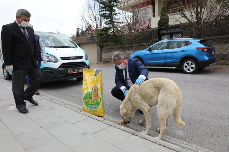 Tam kapanmada Melikgazi’de sokak hayvanları unutulmadı