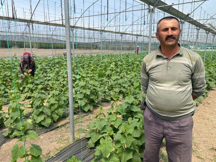 Bu yöntem sayesinde vatandaşlar meyve ve sebzeleri ucuza satın alıyor