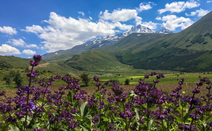 Erciyes Dağı’nda çevre temizliği yapılacak