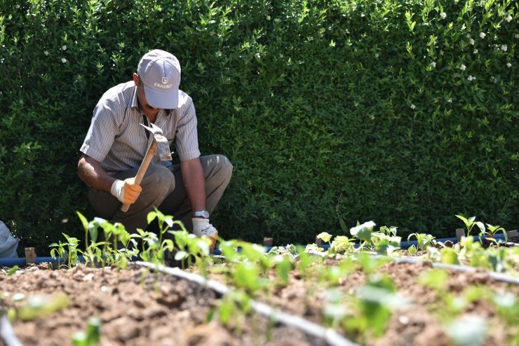 Karatay Belediyesi Hobi Bahçeleri’nde faaliyetler başladı