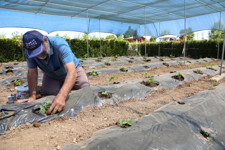 Salgın sürecinin stresini Meram Belediyesi Hobi Bahçelerinde atıyorlar