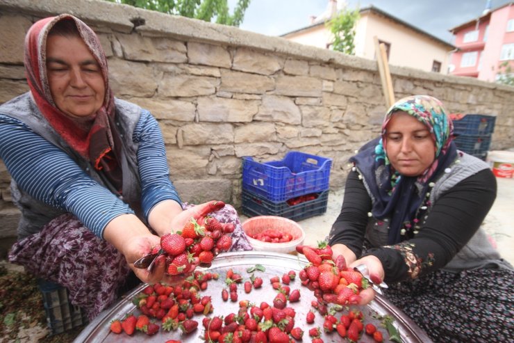 Konya’da üreticiler coğrafi tescilli çileğin alım fiyatının düşmesine tepkili