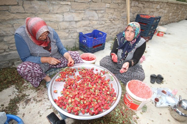 Konya’da üreticiler coğrafi tescilli çileğin alım fiyatının düşmesine tepkili