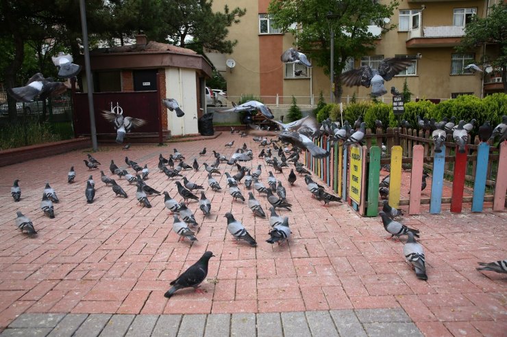 Keçiören’de rengarenk kuş besleme noktası