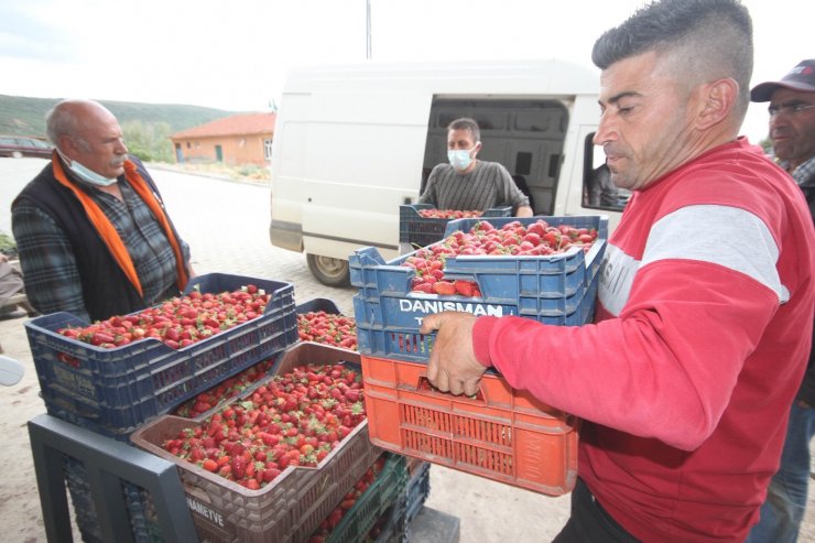 Konya’da üreticiler coğrafi tescilli çileğin alım fiyatının düşmesine tepkili