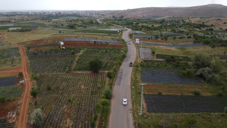 Konya’da üreticiler coğrafi tescilli çileğin alım fiyatının düşmesine tepkili