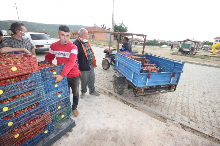 Konya’da üreticiler coğrafi tescilli çileğin alım fiyatının düşmesine tepkili