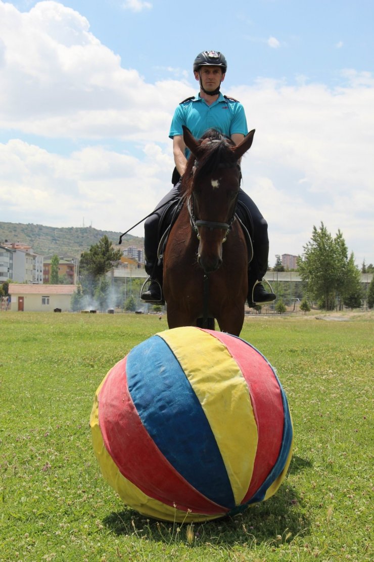 Futbolcuları aratmayan at