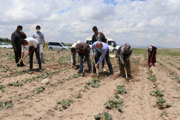 Aksaray’da mevsimlik tarım işçilerinin her türlü ihtiyaçları gideriliyor