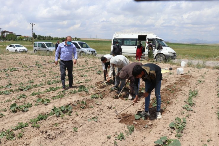 Aksaray’da mevsimlik tarım işçilerinin her türlü ihtiyaçları gideriliyor