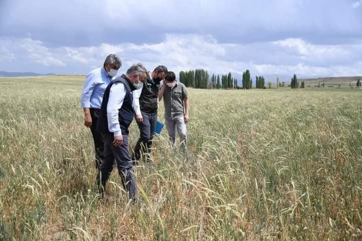 İl Tarım ve Orman Müdürü Şahin, Tomarza’da hasar tespit çalışmalarına katıldı