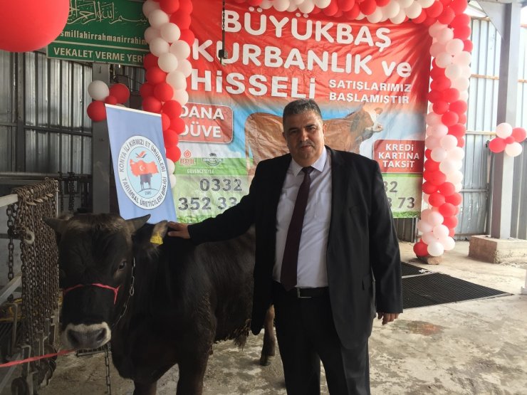 Konya’da kurbanlık hayvan canlı kilo fiyatları belli oldu