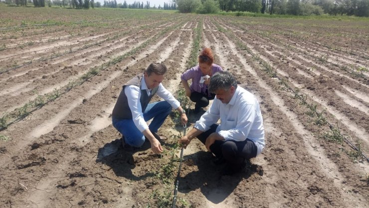 Dolu yağışında arazisi etkilenen çiftçiler hasar tespiti başvurusu yapabilecek