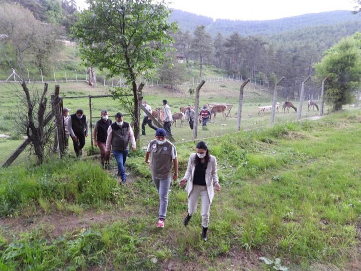 Alpu’dan Kızıl Geyik Üretim İstasyonuna ziyaret