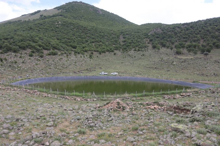 Büyükşehir 15 bin koyunu Erciyes’ten eriyen kar sularıyla rahatlattı