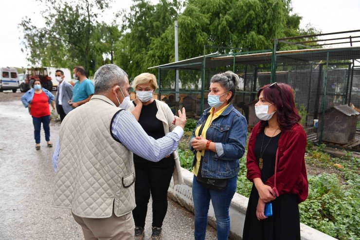 Ankara’da hayvanseverler ve belediye arasında iş birliği