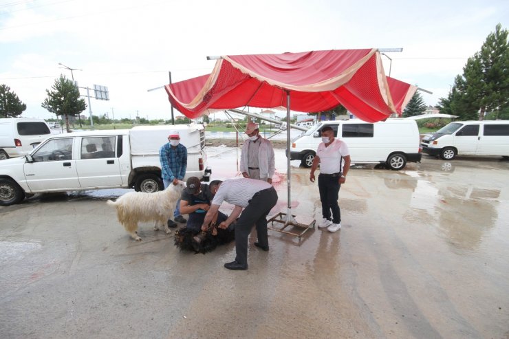 Beyşehir Gölü’nde balıkçılar av sezonunu kurban keserek açtı