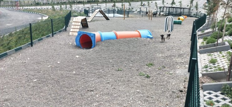 Sincan’da sokak köpeklerinin rehabilite edileceği “Eğitim Parkuru” tamamlandı