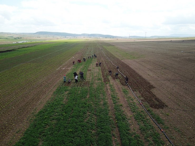 Eskişehir’de bu sulama sezonunda ekonomiye 900 milyon 250 bin liralık katkı hedefleniyor