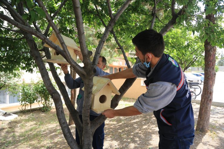 Gölbaşı Belediye Başkanı Ramazan Şimşek’ten minik canlara yuva