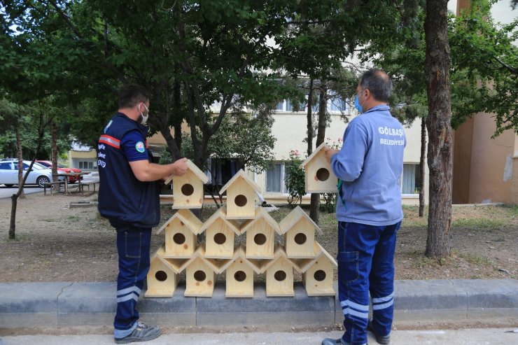 Gölbaşı Belediye Başkanı Ramazan Şimşek’ten minik canlara yuva