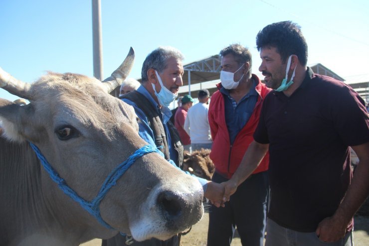 İç Anadolu’nun en büyük hayvan pazarında kurban Bayramı yoğunluğu