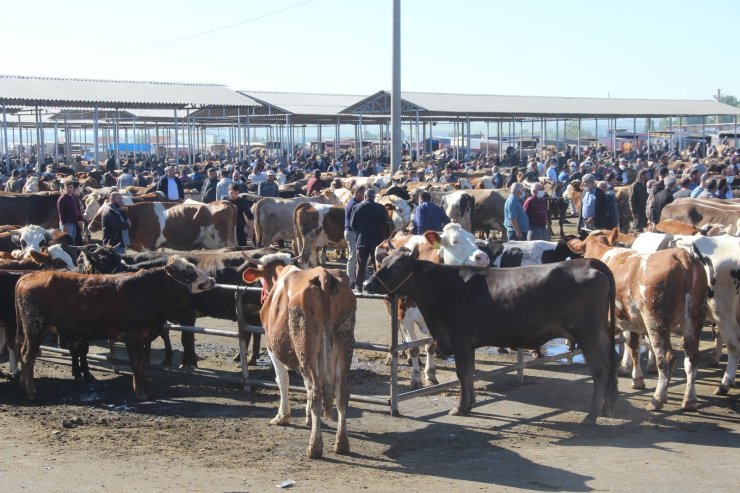 İç Anadolu’nun en büyük hayvan pazarında kurban Bayramı yoğunluğu