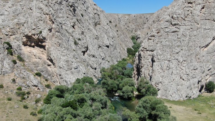 Kaymakam tanıtım için kendini Tohma çayının sularına bıraktı