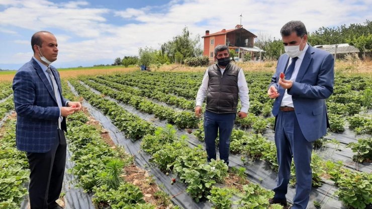 Hüyük’te coğrafi tescilli çileğin tanıtım ve eğitim toplantısı