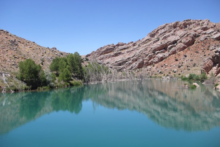 Kaymakam tanıtım için kendini Tohma çayının sularına bıraktı