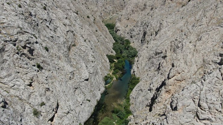 Kaymakam tanıtım için kendini Tohma çayının sularına bıraktı