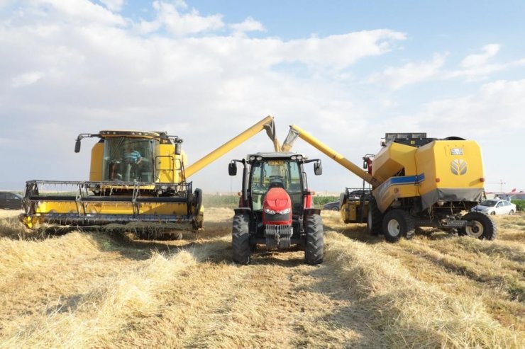 Aksaray 1 milyon 300 bin ton arpa üretimiyle Türkiye’de 7. sırada