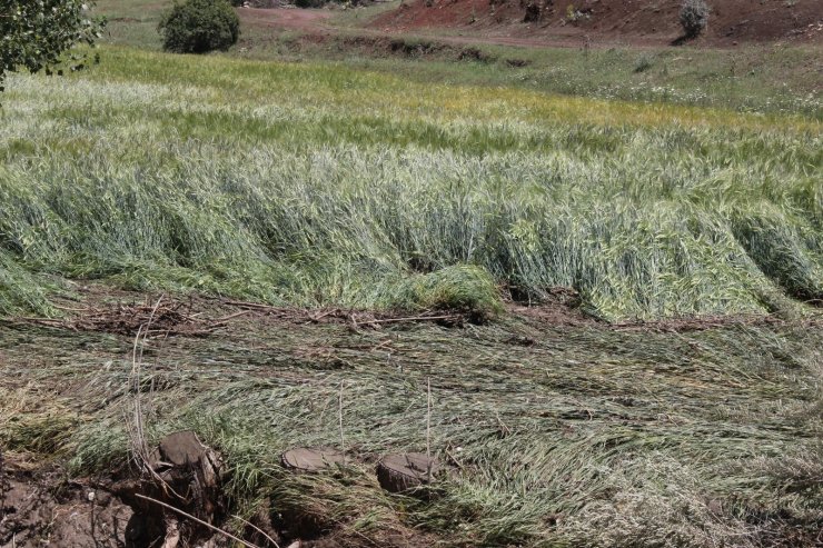 Yozgat’ta etkili olan sel ekili alanlara zarar verdi