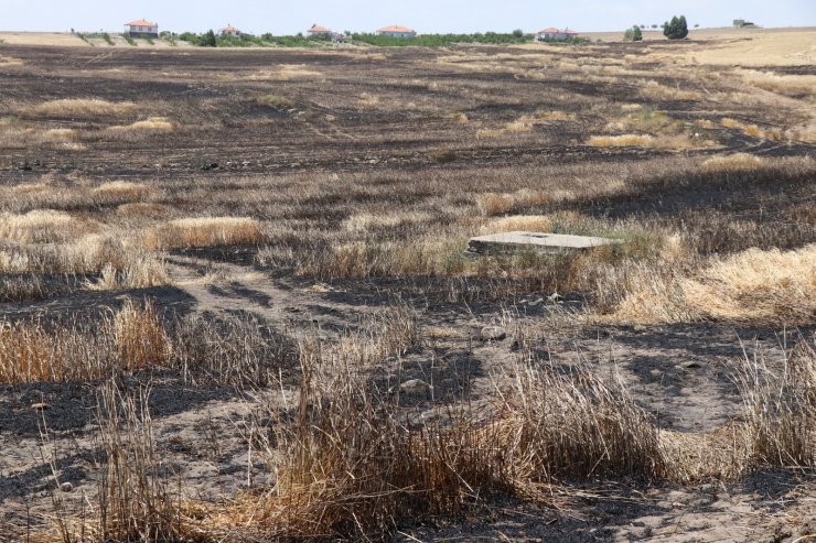 Aksaray’da hasada günler kala 250 dekarlık arpa tarlası kül oldu