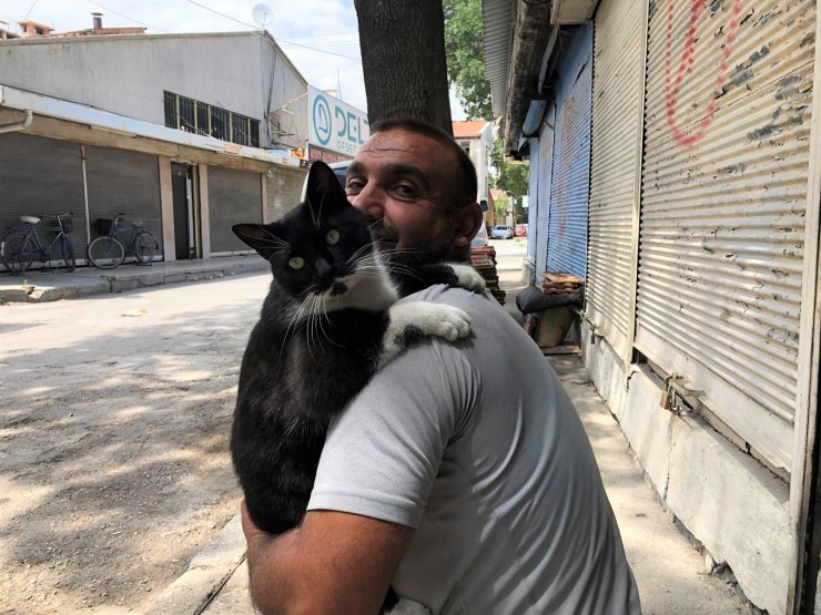 Kedi her sabah sahibini kapıda karşılayarak kucaklıyor